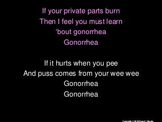 Immune System Lesson PowerPoint