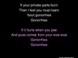 Immune System Lesson PowerPoint