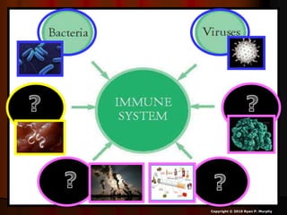 Copyright © 2010 Ryan P. Murphy
 