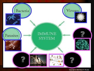 Copyright © 2010 Ryan P. Murphy
 