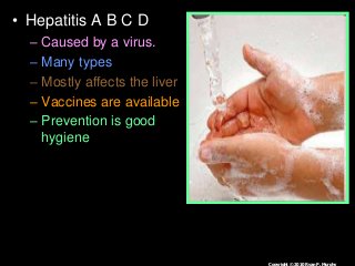 Immune System Lesson PowerPoint