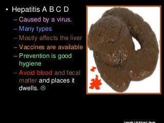 Immune System Lesson PowerPoint