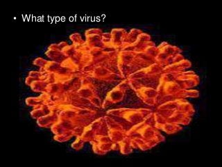 Immune System Lesson PowerPoint