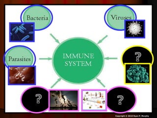 Copyright © 2010 Ryan P. Murphy
 