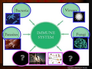 Copyright © 2010 Ryan P. Murphy
 