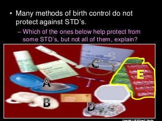 Immune System Lesson PowerPoint