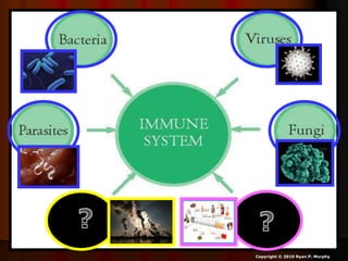 Copyright © 2010 Ryan P. Murphy
 