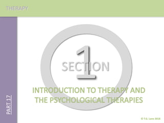 PART17
SECTION
© T.G. Lane 2018
THERAPY
 