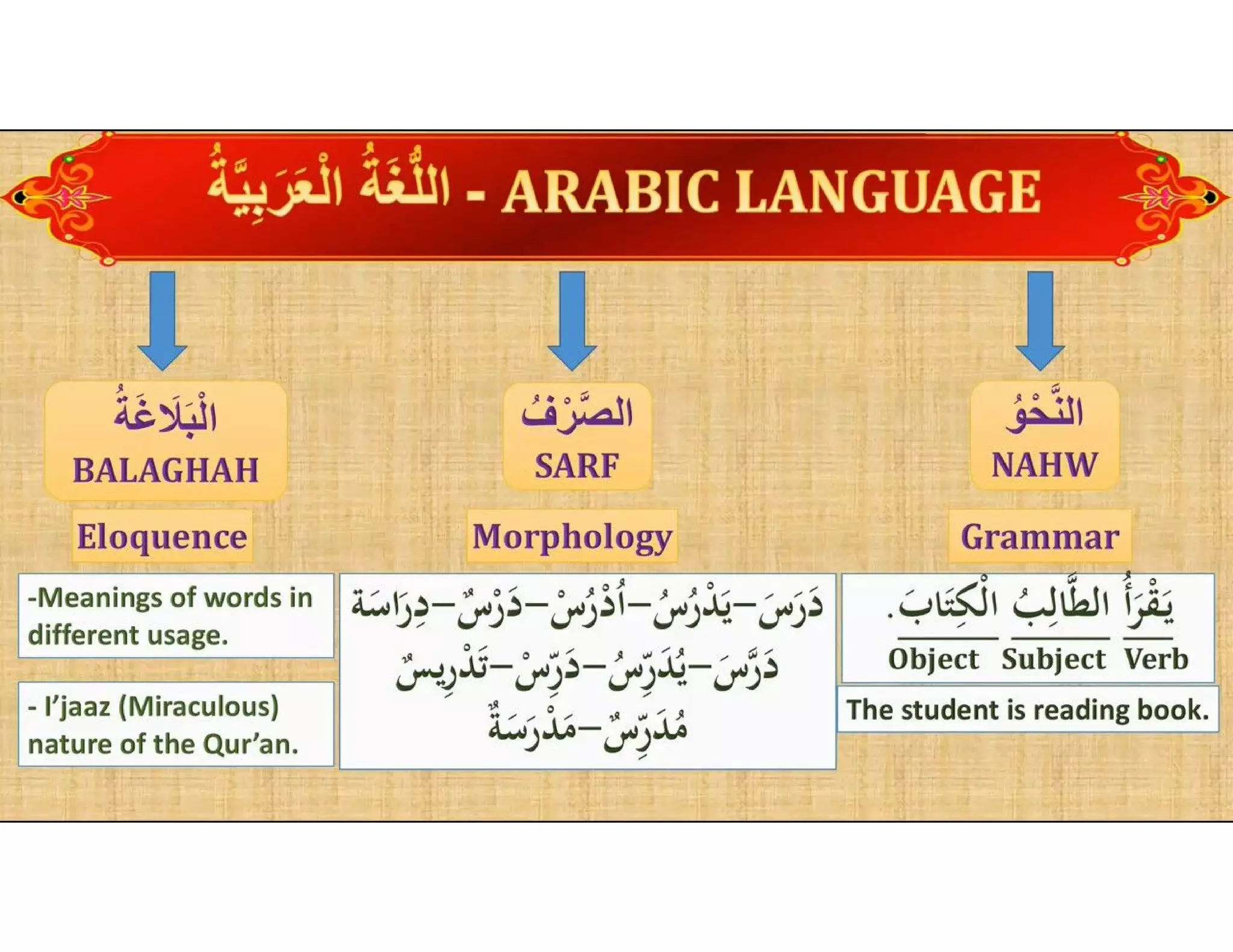 Part 1 Arabic grammar.pdf
