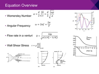 • Womersley Number
• Angular Frequency
• Flow rate in a venturi
• Wall Shear Stress
Equation Overview
𝛼𝛼 =
𝑑𝑑
2
𝜔𝜔
𝜈𝜈
=
𝑑𝑑
2
𝜔𝜔𝜔𝜔
𝜇𝜇
𝜔𝜔 = 2𝜋𝜋𝜋𝜋 =
2𝜋𝜋
𝑇𝑇
𝑄𝑄 =
2∆𝑝𝑝
𝜌𝜌 ⁄
1 𝐴𝐴2
2
− ⁄
1 𝐴𝐴1
2
𝜏𝜏 = 𝜇𝜇 �
𝑑𝑑𝑑𝑑
𝑑𝑑𝑑𝑑 𝑧𝑧=0
0 0.2 0.4 0.6 0.8 1
200
400
600
800
1000
Re
t / τ
0 0.2 0.4 0.6 0.8 1
1.5
1.7
1.9
2.1
2.3
2.5
2.7
2.9
3.1
x 10
4
Pressure
(Pa)
0 0.2 0.4 0.6 0.8 1
1.5
1.7
1.9
2.1
2.3
2.5
2.7
2.9
3.1
x 10
4
Pressure
(Pa)
 