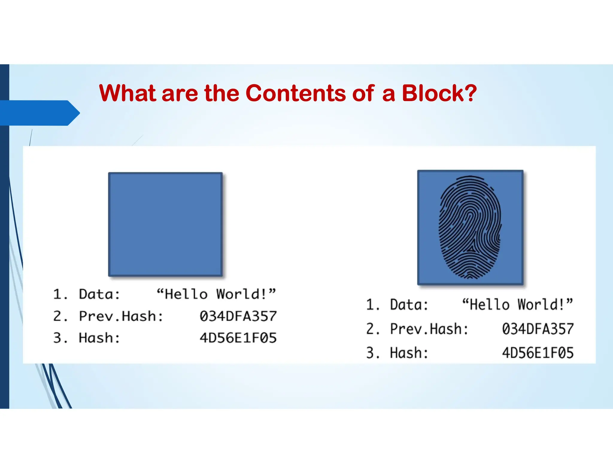 What are the Contents of a Block?
 