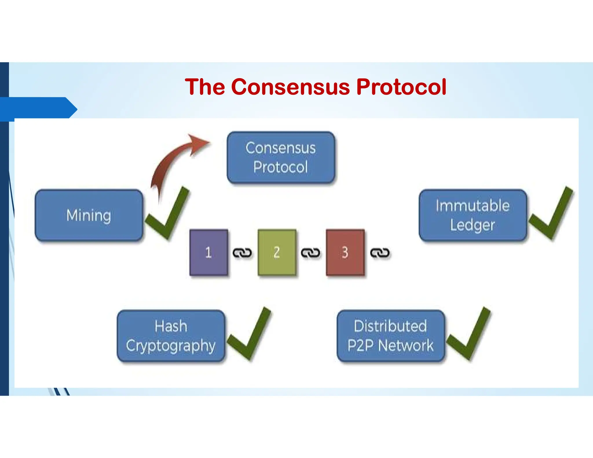The Consensus Protocol
 