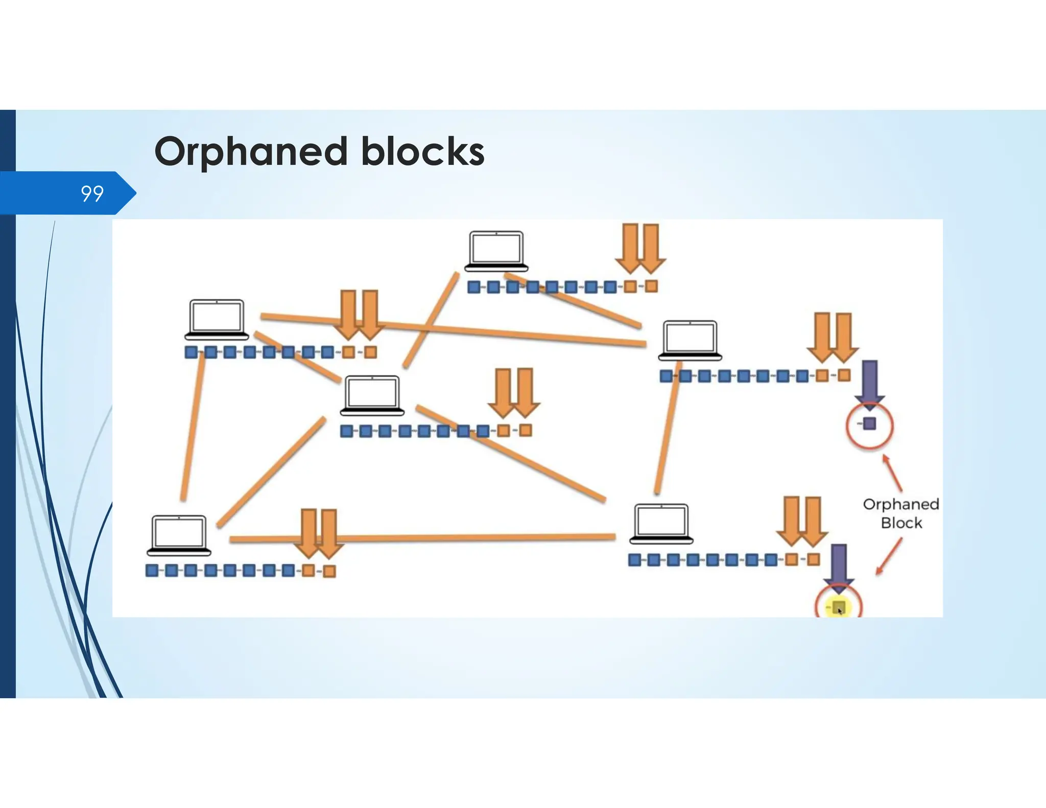 Orphaned blocks
99
 