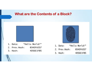 What are the Contents of a Block?
 