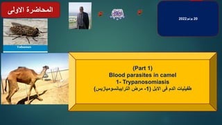 20
‫يونيو‬
2022
(Part 1)
Blood parasites in camel
1- Trypanosomiasis
‫االبل‬ ‫فى‬ ‫الدم‬ ‫طفيليات‬
(
1
-
‫الترايبانسوميازيس‬ ‫مرض‬
)
‫االولى‬ ‫المحاضرة‬
 