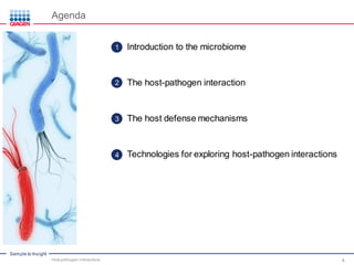 Host-pathogen Interactions, Molecular Basis and Host Defense: Pathogen ...
