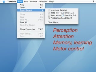 Perception
Attention
Memory, learning
Motor control
 