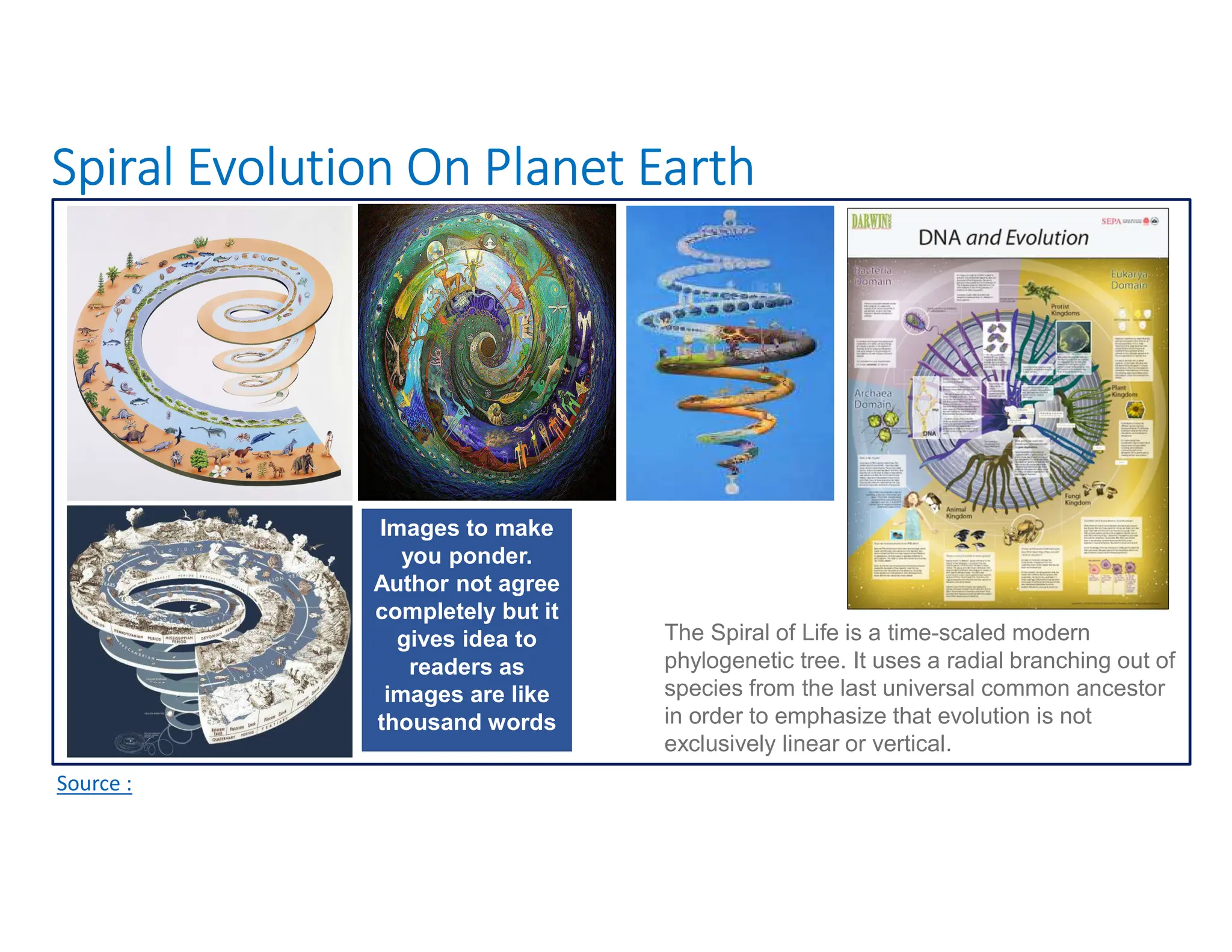 Spiral Evolution On Planet Earth
Source :
Images to make
you ponder.
Author not agree
completely but it
gives idea to
readers as
images are like
thousand words
The Spiral of Life is a time-scaled modern
phylogenetic tree. It uses a radial branching out of
species from the last universal common ancestor
in order to emphasize that evolution is not
exclusively linear or vertical.
 