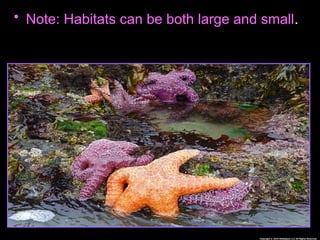 Habitat Lesson for Middle School Ecology Science Curriculum | PPTX