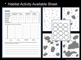 Habitat Lesson for Middle School Ecology Science Curriculum | PPTX