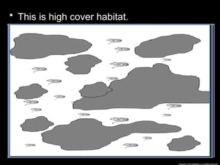 Habitat Lesson for Middle School Ecology Science Curriculum | PPTX