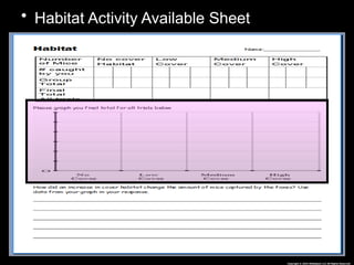 Habitat Lesson for Middle School Ecology Science Curriculum | PPTX