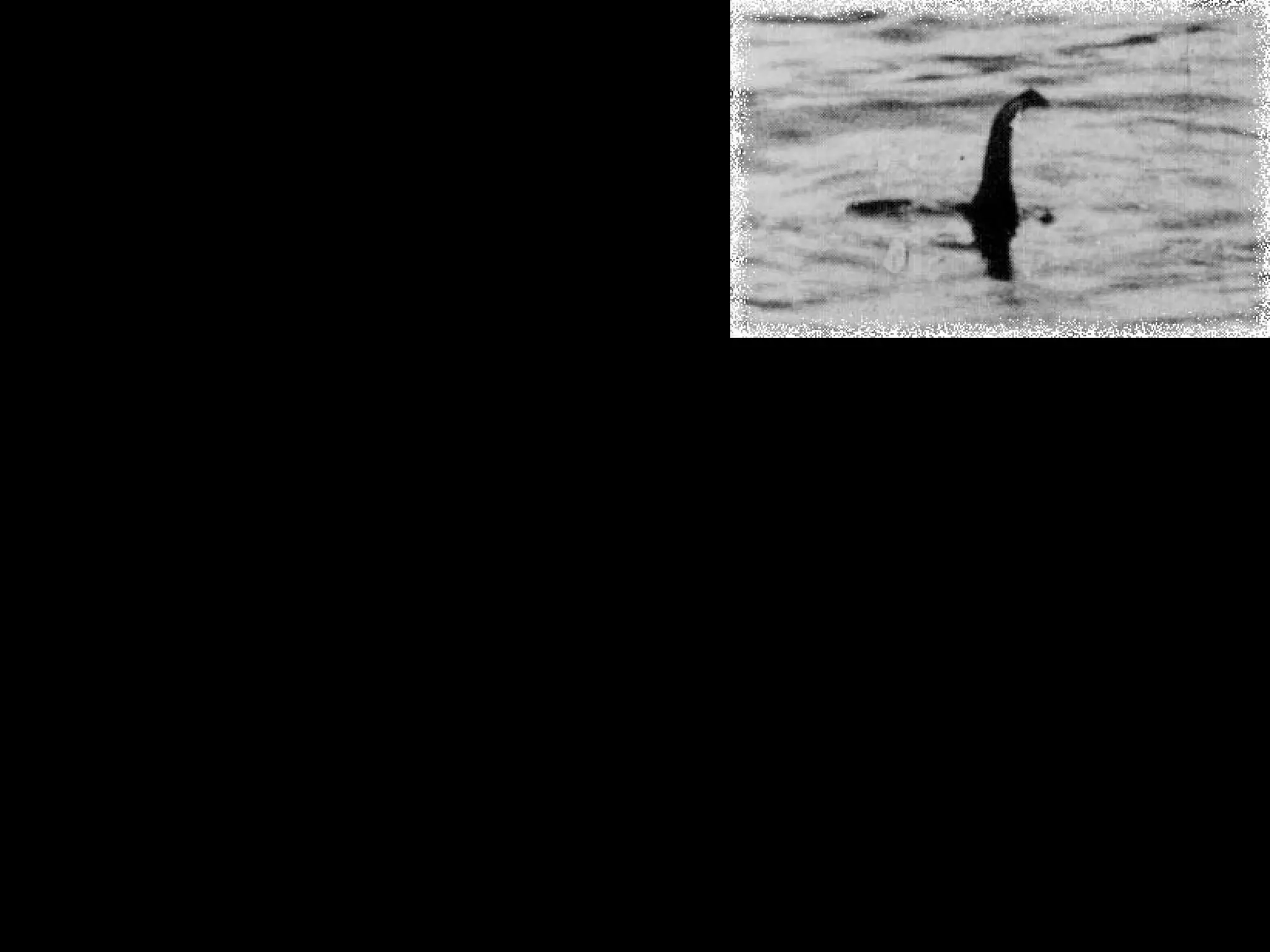 Evidence of
Student Engagement
(Kuh, 2003)
• To what extent are students engaged
in effective educational practices?
• How can we obtain and best use such
information?
 