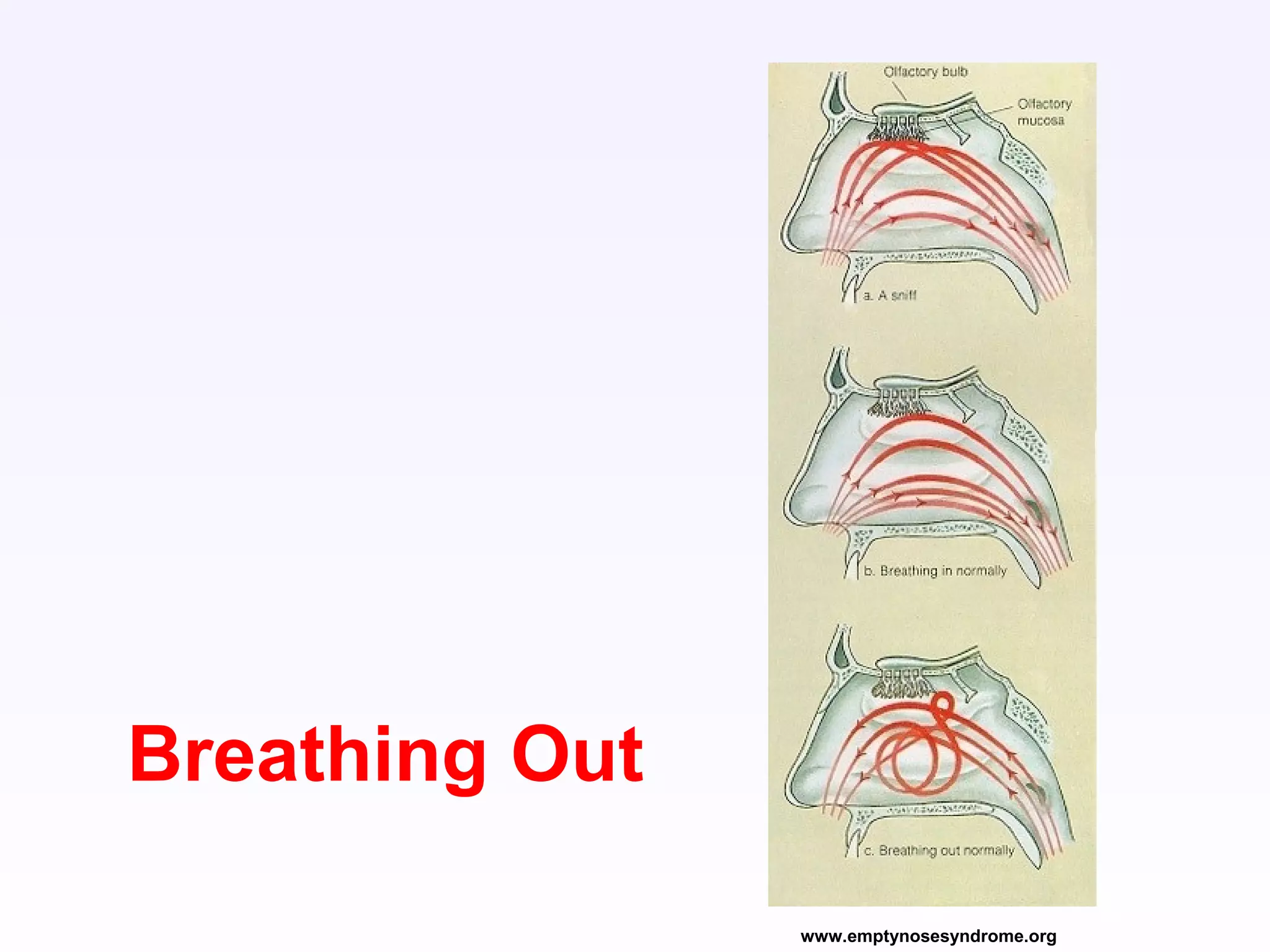 www.emptynosesyndrome.org
Breathing Out
 