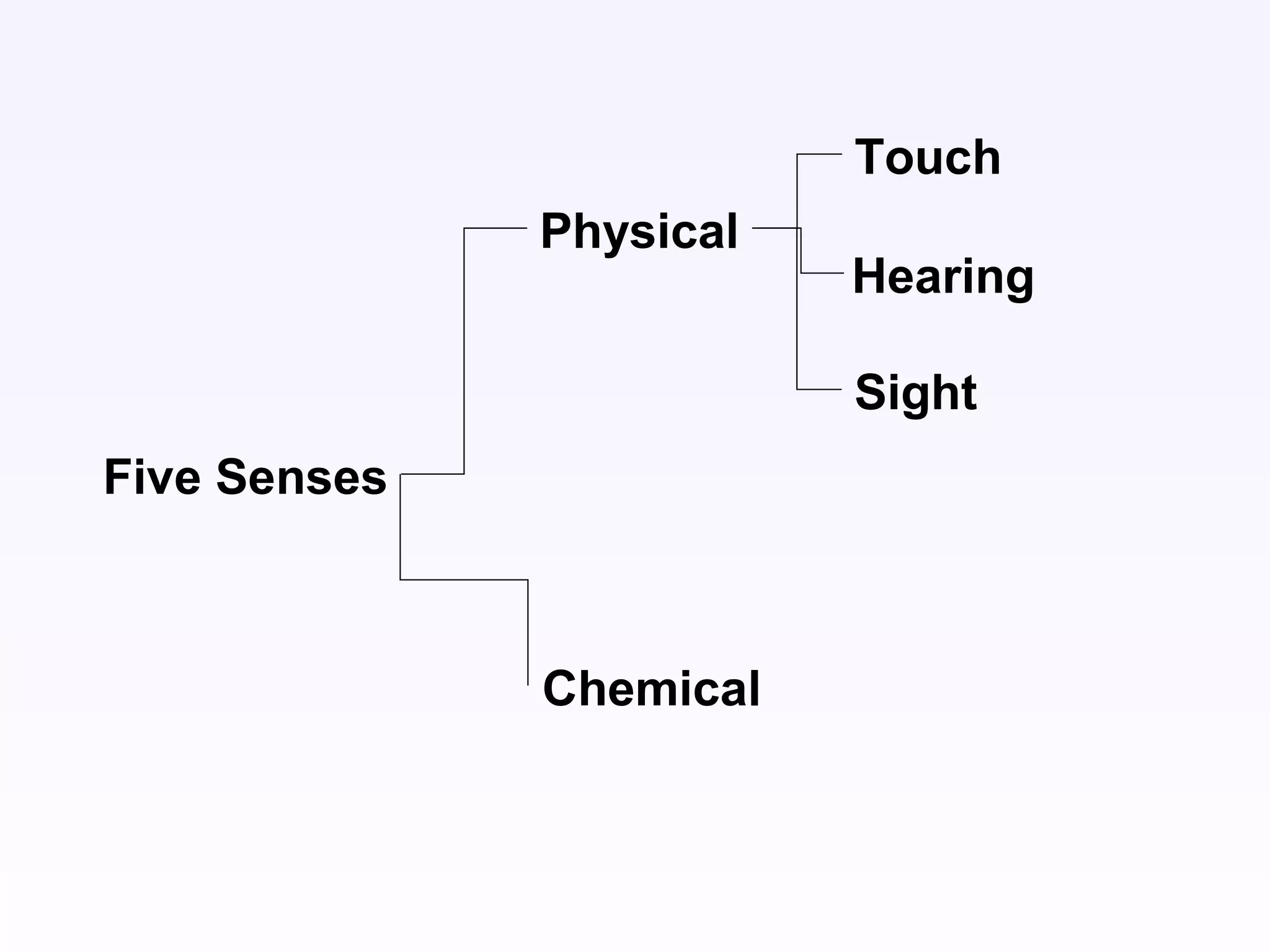 Five Senses
Physical
Chemical
Touch
Hearing
Sight
 