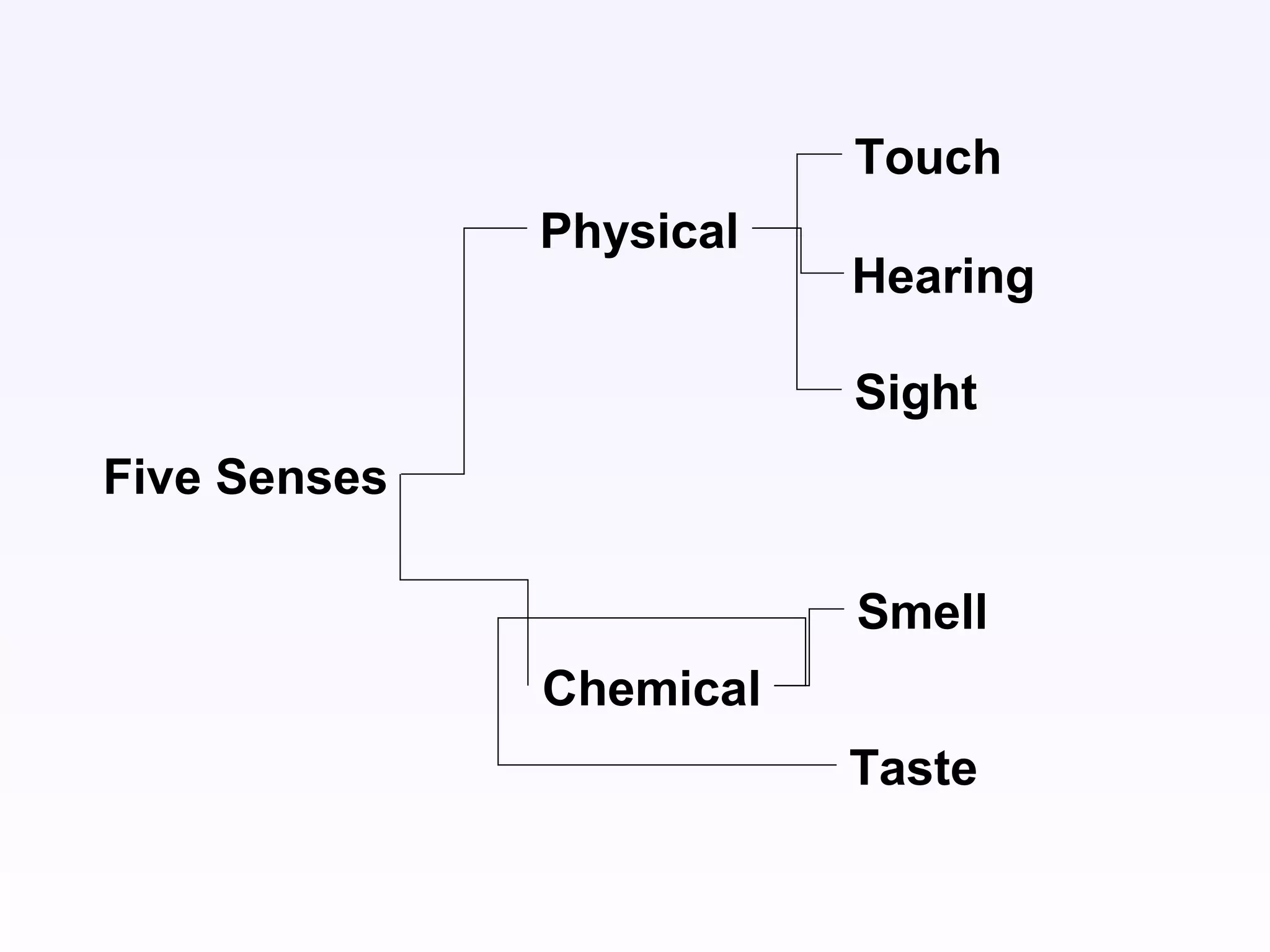 Five Senses
Physical
Chemical
Touch
Hearing
Sight
Smell
Taste
 