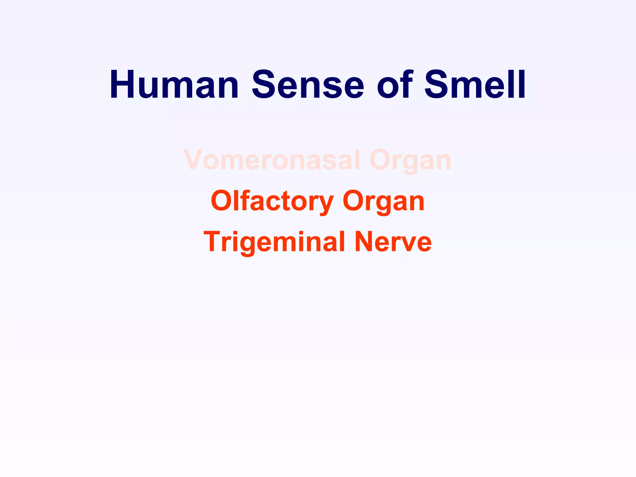 Human Sense of Smell
Vomeronasal Organ
Olfactory Organ
Trigeminal Nerve
 