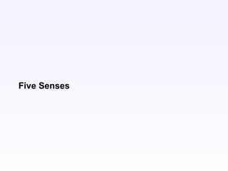 Five Senses
 