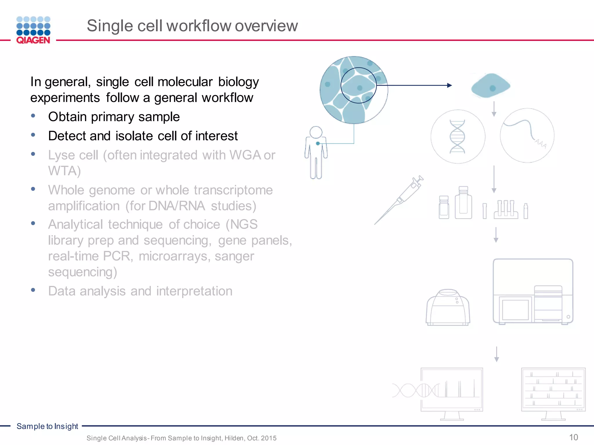 Sample to Insight
Single cell workflow overview
10Single Cell Analysis- From Sample to Insight, Hilden, Oct. 2015
In general, single cell molecular biology
experiments follow a general workflow
• Obtain primary sample
• Detect and isolate cell of interest
• Lyse cell (often integrated with WGA or
WTA)
• Whole genome or whole transcriptome
amplification (for DNA/RNA studies)
• Analytical technique of choice (NGS
library prep and sequencing, gene panels,
real-time PCR, microarrays, sanger
sequencing)
• Data analysis and interpretation
 