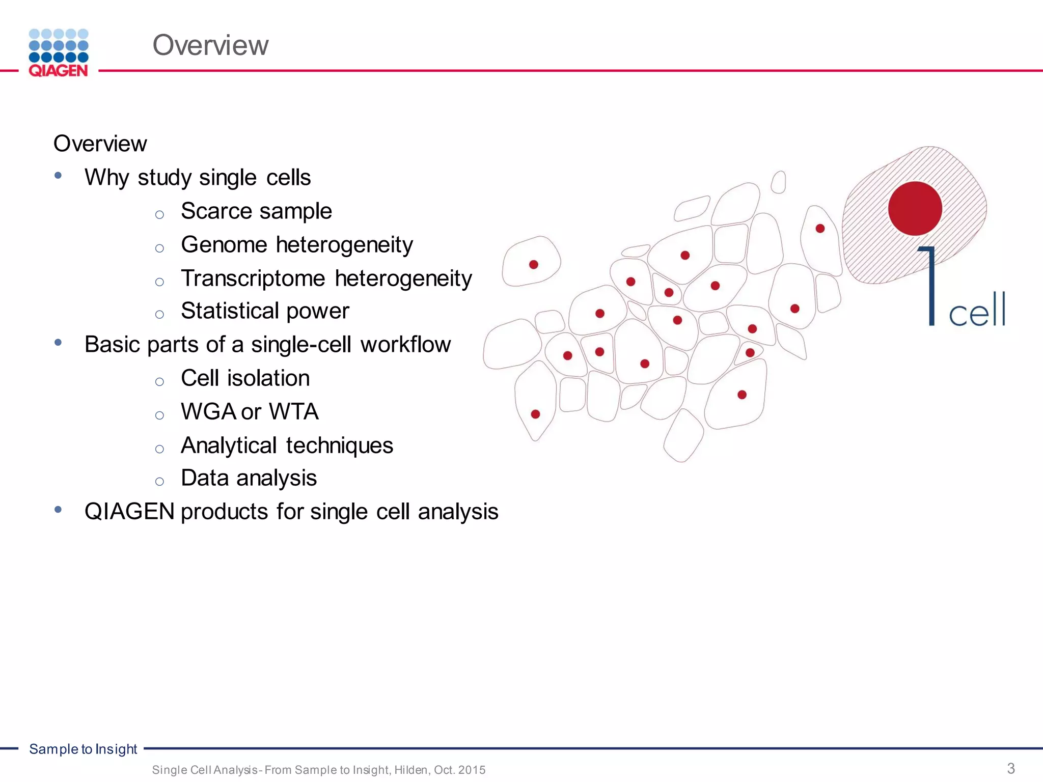 Sample to Insight
Overview
3Single Cell Analysis- From Sample to Insight, Hilden, Oct. 2015
Overview
• Why study single cells
o Scarce sample
o Genome heterogeneity
o Transcriptome heterogeneity
o Statistical power
• Basic parts of a single-cell workflow
o Cell isolation
o WGA or WTA
o Analytical techniques
o Data analysis
• QIAGEN products for single cell analysis
 