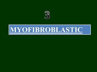 MYOFIBROBLASTIC
 