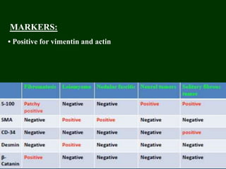 MARKERS:
• Positive for vimentin and actin
 