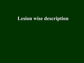 Lesion wise description
 