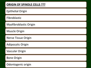 ORIGIN OF SPINDLE CELLS ???
Epithelial Origin
Fibroblastic
Myofibroblastic Origin
Muscle Origin
Nerve Tissue Origin
Adipocytic Origin
Vascular Origin
Bone Origin
Odontogenic origin
 