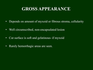 GROSS APPEARANCE
• Depends on amount of myxoid or fibrous stroma, cellularity
• Well circumscribed, non-encapsulated lesion
• Cut surface is soft and gelatinous- if myxoid
• Rarely hemorrhagic areas are seen.
 