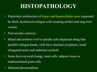 HISTOPATHOLOGY
• Patternless architecture of hypo- and hypercellular areas separated
by thick, hyalinized collagen with cracking artifact and stag horn
vessels
• Perivascular sclerosis
• Bland and uniform oval to spindle cells dispersed along thin
parallel collagen bands, cells have minimal cytoplasm, small
elongated nuclei and indistinct nucleoli
• Some have myxoid change, mast cells, adipose tissue or
multinucleated giant cells
• Minimal pleomorphism
 