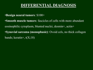 DIFFERENTIAL DIAGNOSIS
•Benign neural tumors: S100+
•Smooth muscle tumors: fascicles of cells with more abundant
eosinophilic cytoplasm, blunted nuclei, desmin+, actin+
•Synovial sarcoma (monophasic): Ovoid cels, no thick collagen
bands; keratin+, t(X;18)
 