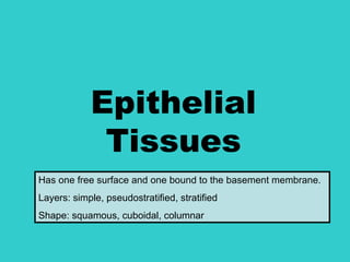 Epithelial
             Tissues
Has one free surface and one bound to the basement membrane.
Layers: simple, pseudostratified, stratified
Shape: squamous, cuboidal, columnar
 