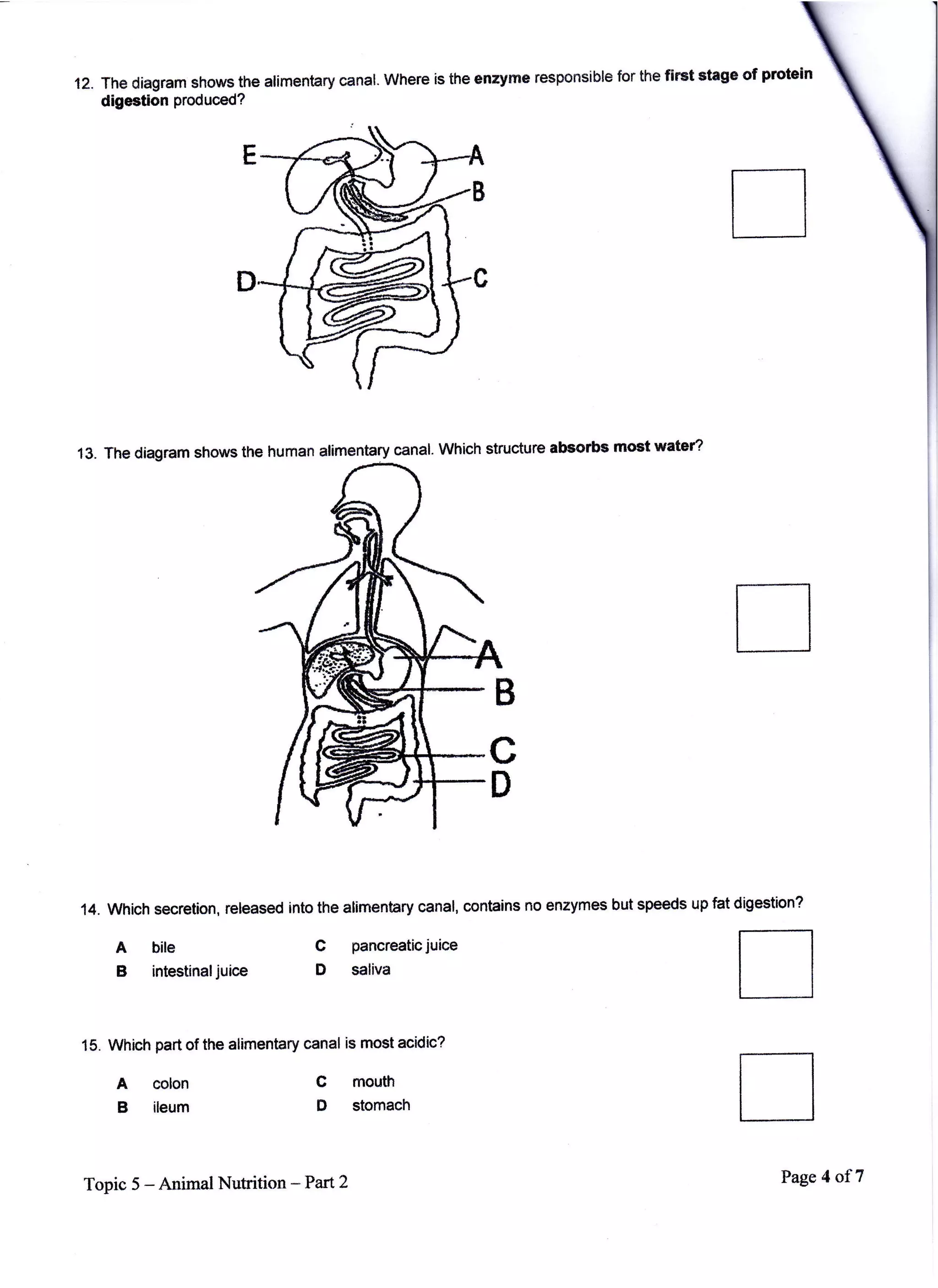 M&C Digestion Assignment Part 2 | PDF
