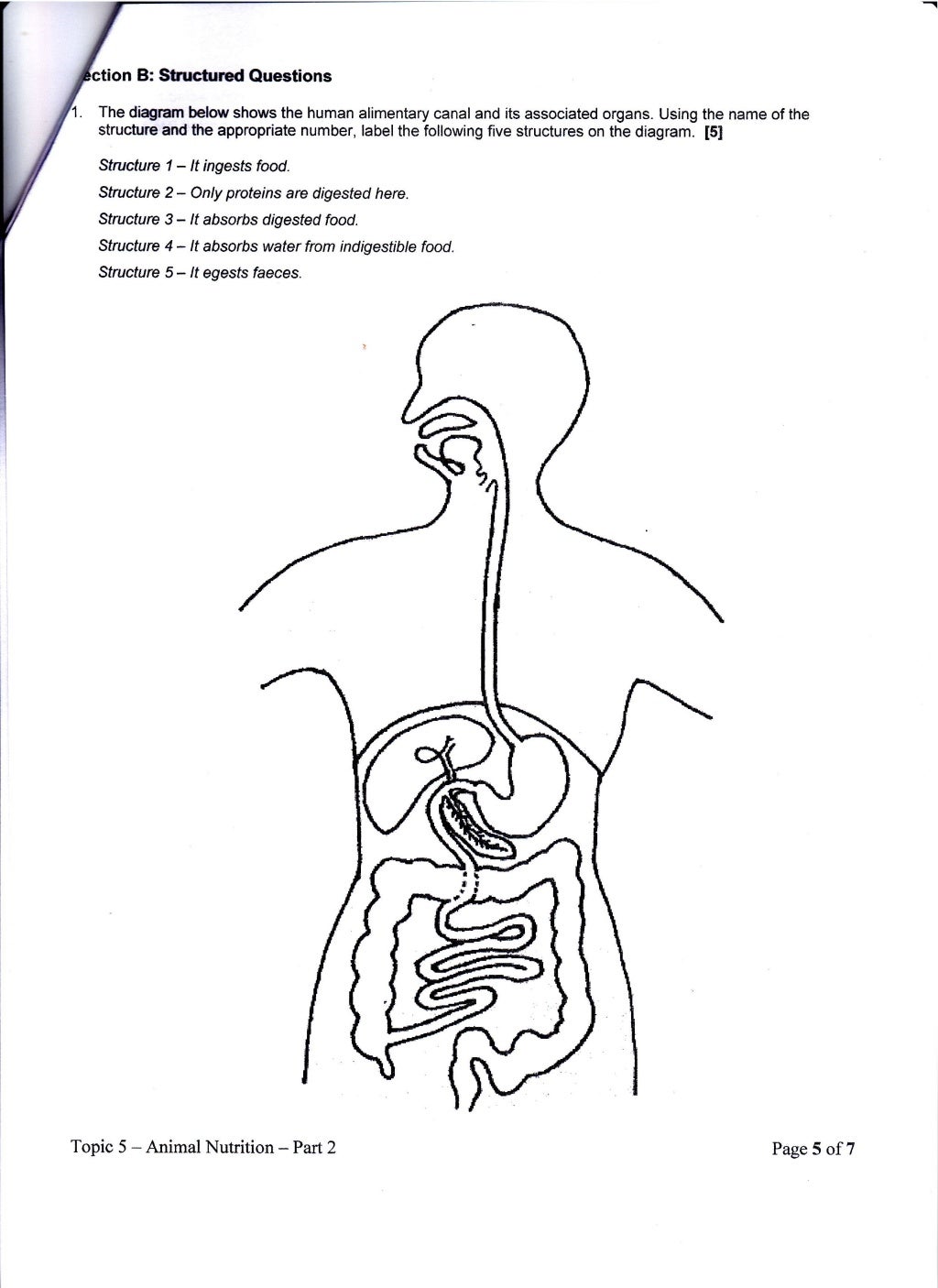 M&C Digestion Assignment Part 2