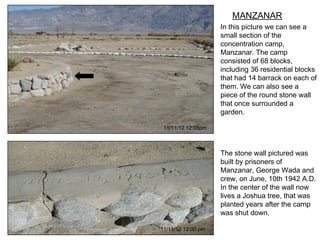 MANZANAR
                    In this picture we can see a
                    small section of the
                    concentration camp,
                    Manzanar. The camp
                    consisted of 68 blocks,
                    including 36 residential blocks
                    that had 14 barrack on each of
                    them. We can also see a
                    piece of the round stone wall
                    that once surrounded a
                    garden.

 11/11/12 12:06pm



                    The stone wall pictured was
                    built by prisoners of
                    Manzanar, George Wada and
                    crew, on June, 10th 1942 A.D.
                    In the center of the wall now
                    lives a Joshua tree, that was
                    planted years after the camp
                    was shut down.

11/11/12 12:00 pm
 