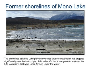 Former shorelines of Mono Lake




                             Former shoreline                   11/10/12 2:06pm


The shorelines at Mono Lake provide evidence that the water level has dropped
significantly over the last couple of decades. On the shore you can also see the
tufa formations that were once formed under the water.
 