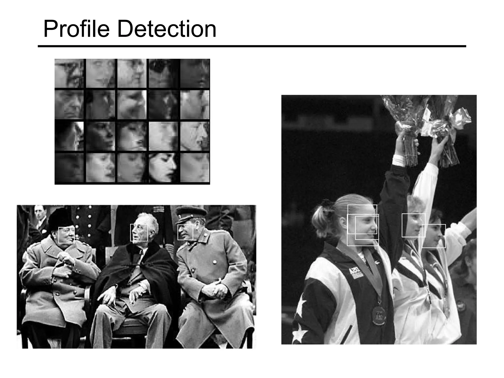 Profile Detection
 