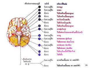 คุณครูธันยมลธ์ จตุรวิทย์กุล กลุ่มสาระวิทยาศาสตร์ โรงเรียนสตรีวิทยา 24
 
