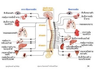 คุณครูธันยมลธ์ จตุรวิทย์กุล กลุ่มสาระวิทยาศาสตร์ โรงเรียนสตรีวิทยา 34
 