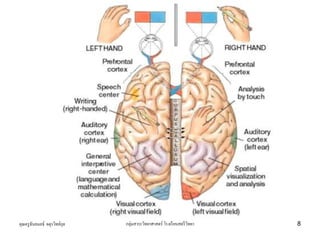 คุณครูธันยมลธ์ จตุรวิทย์กุล กลุ่มสาระวิทยาศาสตร์ โรงเรียนสตรีวิทยา 8
 
